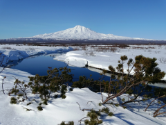 白雪皚皚的山頂 35 列表